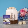 thumbnail image 4 of ScentSationals, Scented Wax Cubes, Lemon Blueberry Donuts, 4 of 4