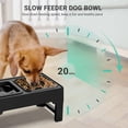 thumbnail image 3 of Els Pet 2 In 1 Elevated Feeding Station(Slow Bowl + Floating Bowl), 3 of 8