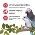 thumbnail image 2 of Living World Parrot Treat Sticks Fruit Melody 100 G, 2 of 7
