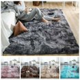 thumbnail image 1 of Super Soft Long Plush Gradient Non-Slip Area Rugs,Decorative Floor Mat For Living Room Bedroom Playing Room, 1 of 3