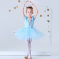 thumbnail image 1 of Justaucorps pour Filles, Danse Ballet, Robe Tutu à Jupe, Manches Courtes, Tenue de Danse, Robe de Princesse Elsa (avec Cape), 1 of 6