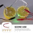 thumbnail image 4 of 1 Ensemble Pile Fruits DIY Expérience Scientifique Éducative pour Étudiant, 4 of 8