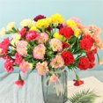 thumbnail image 2 of 10Head Carnation Artificial Flowers Plastic Fake Plants Home Party Wedding Decor, 2 of 6