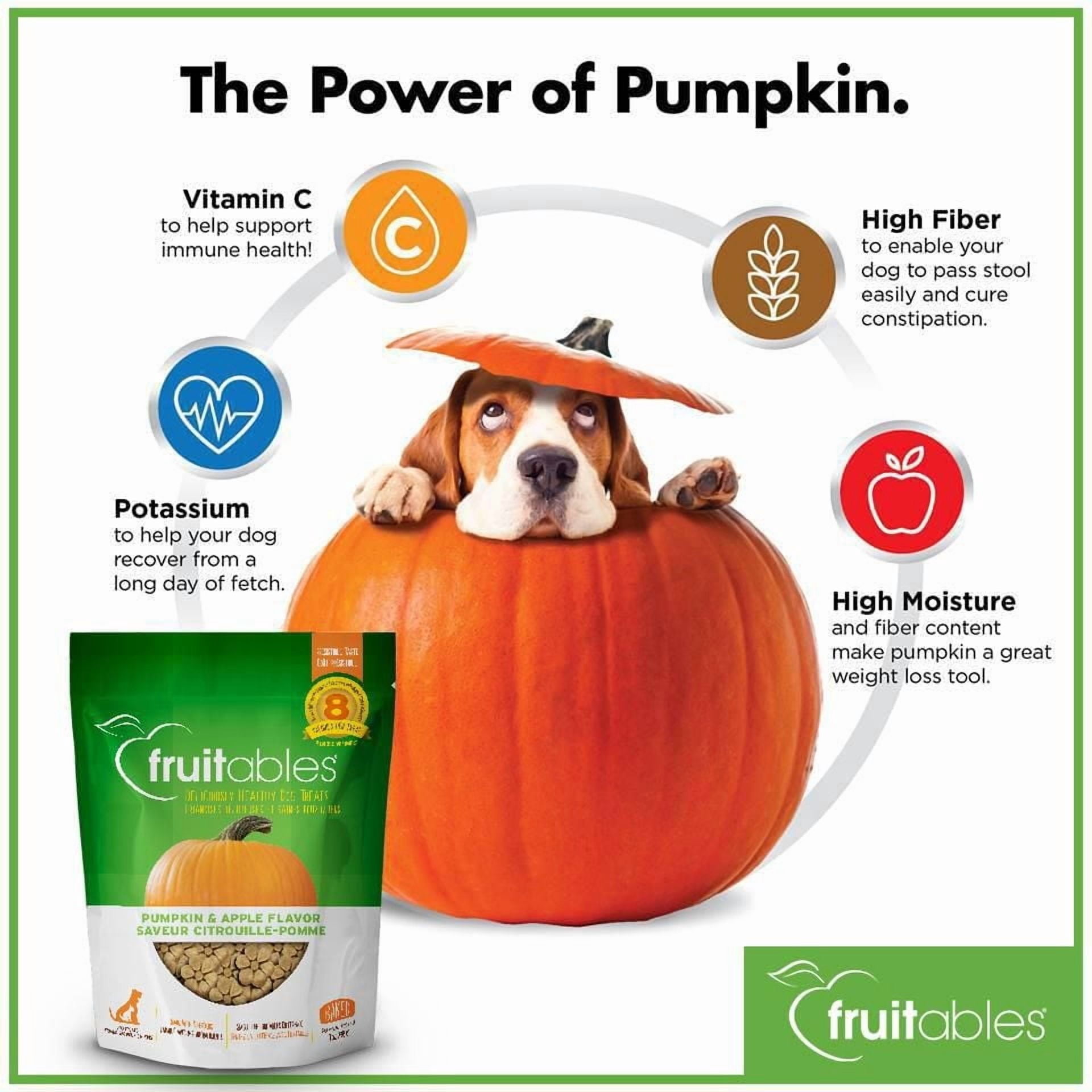 Fruitables Pumpkin & Apple Baked Dog Treats