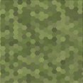 thumbnail image 1 of Ahgly Company Tapis d'Intérieur Lavable à la Machine, Carré, Transitionnel, Vert Oignon Vert, Tapis de Zone, 5 Pieds Carré, 1 of 7