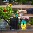 thumbnail image 3 of Miracle-Gro® Water Soluble Plant Food 20-20-20 680 g, 3 of 5