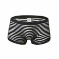thumbnail image 2 of TIHLMK Men's Fashion Boxer Shorts Mesh Breathable Underpants, 2 of 3