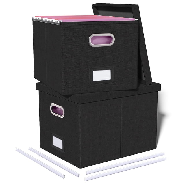 Oterri File Box with Lid, Letter/Legal Size Filing Cabinet, File Folder Organizer Box, Filing Box for Hanging File Folders, File Storage Box with Lid, 2 Packs, Black (No Folders)