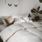 Highland Feather 725 Fill Power Canadian Hutterite White Goose Down Duvet 500TC Pure Cotton Casing with Corner Ties ICELAND, Summer, Queen, 30 OZ