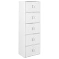 thumbnail image 1 of Hodedah Armoire de Rangement Polyvalente pour la Maison/le Bureau à 10 Portes Fermées, Rainbow, 1 of 4