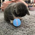 thumbnail image 1 of Electric Pet Ball  LED Rolling Flash Ball Interactive Pet Toys For Puppy Cats Dogs, 1 of 4