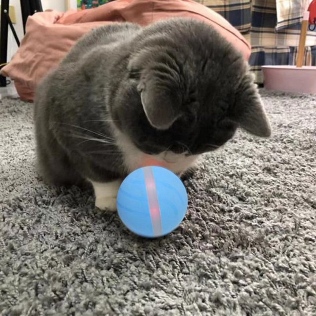 Electric Pet Ball LED Rolling Flash Ball Interactive Pet Toys For Puppy Cats Dogs