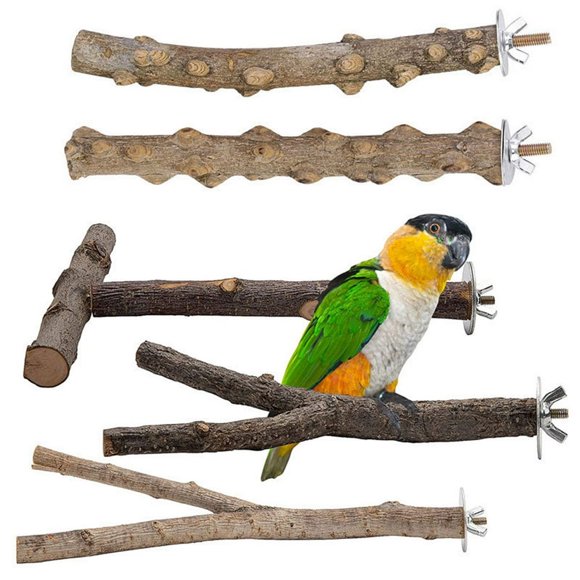 QJUHUNG Natural Parrot Perch Bird Stand Pole Wild Grape Stick Paw Grinding Fork Parakeet Climbing Standing Branches Toy Chewable Cage Accessories for Small Budgies Cockatiels Lovebirds 5P