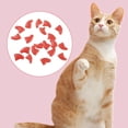 thumbnail image 2 of 20PCS Cat Nail Caps Protective Soft Kitten Paw Caps Cat Claw Covers with Glue, 2 of 10
