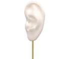 thumbnail image 4 of Earring Display Stand Human Ear Model show Stud Stud Holder Showcase Jewelry Organizer Left Ear White, 4 of 9