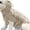 Khaki, variant on TIMIFIS Dog Sweater Fashiom Pets Solid Winter Dog Sweater Knitted Warm Sleeveless Pet Clothes Dog Apparel & Accessories - Fall