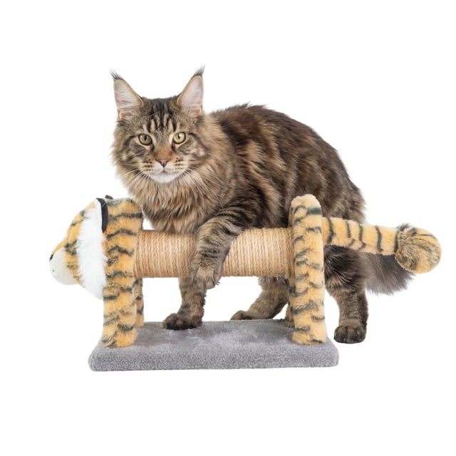 One Paw, Cat Scratcher Shaped Like a Tiger, with a plush 100% polyester exterior and natural sisal scratching post wrapped around the center, tiger head and tail accents on a gray base, measuring 7”W x 8”H x 20”D, shown with a brown tabby Maine Coon cat interacting with it.