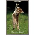 thumbnail image 1 of Célèbre chaton accroché là-bas Poster, 1 of 5