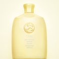 thumbnail image 4 of Oribe Hair Alchemy Resilience Shampoo 8.5 oz, 4 of 9