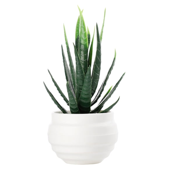 (Aloès Plante en Pot) Plante Verte Simulée Plante en Pot Simulée Succulente Petit Bonsaï Simulée Radis Vert Plante en Pot Fausse Fleur Plante en Pot Petit Ornement