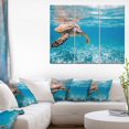 thumbnail image 3 of Design Art Large Hawksbill Sea Turtle Canvas Print, 3 of 3