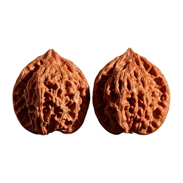 LFKERWMG Mes Articles Noix Wenwan – Noix Chinoises Soins de Santé Anti-Stress pour Massage et Entraînement des Mains Prise Naturelle Solide pour Personnes Âgées et Bien-être (2 Pcs)
