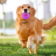 thumbnail image 4 of Durable Squeaky Spiky Ring Pet Toy Interactive Chew Teething for Puppy Dogs Outdoor Indoor Play Training Activity, 4 of 4