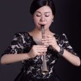thumbnail image 4 of Amdohai Saxophone de Poche Saxo ABS Mini Saxophone Portable Petit Saxophone, 4 of 7