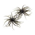 thumbnail image 1 of S SERENABLE 2 Pcs Leurres de Pêche avec Hameçons Réalistes Extérieur Portables Leurres à Truite Leurre de Pêche Swimbait pour Lac Crapet Vivaneau Perche Vert, 1 of 7