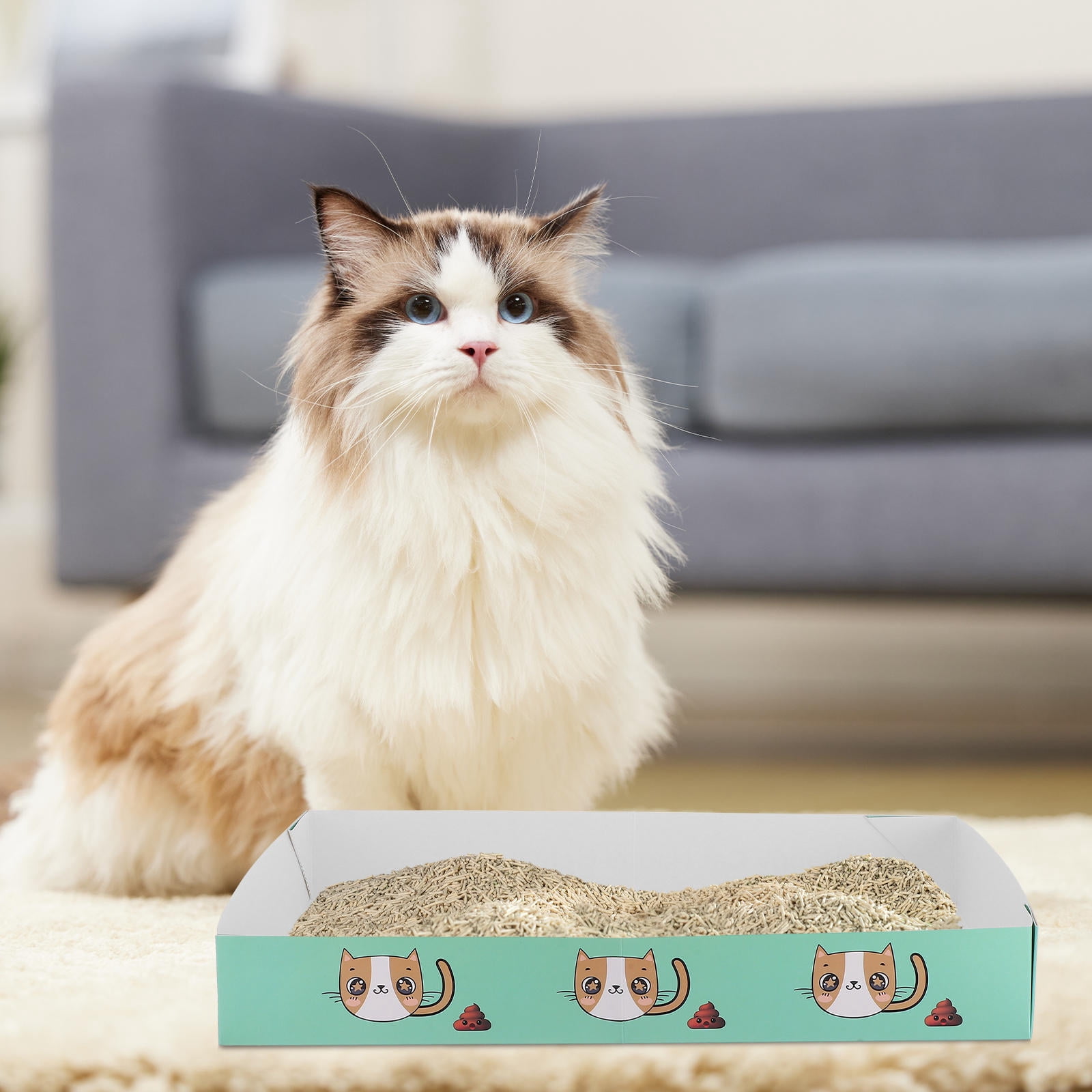 Mobutofu Kitten Litter Paper Light Green Designed For Small Cats 1Pcs