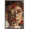 thumbnail image 1 of Shawn Mendes - Floral Wall Poster, 22.375" x 34", 1 of 4