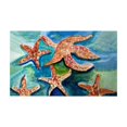 thumbnail image 1 of Betsydrake DM1194G 30 x 50 Po Tapis de Porte de Nage Étoile de Mer - Grand, 1 of 1
