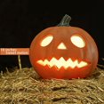 thumbnail image 1 of Fall Thanksgiving Day Pumpkins Decor LED Pumpkin Lantern Scene layout Home Decoration Jack-O-Lantern B, 1 of 8