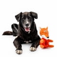 thumbnail image 2 of One Paw, Fox Plush Rubber Dog Toy with Treat Dispenser, 9 inches, 2 of 7