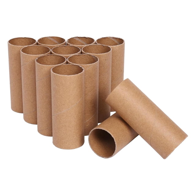 GUOOL 12 Pieces Cardboard Tubes Paper Towel Tubes for Family DIY Projects Handmade 10cm