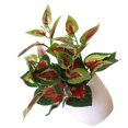 thumbnail image 2 of fastboy Artificial Potted Plant Leaf Simulation Leaves Home Office Desktop Greenery Decoration, Plant Type 15, 2 of 5