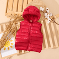 thumbnail image 1 of PatPat Veste Sans Manches Matelassée en Coton à Capuchon pour Tout-Petit Garçon/fillette, 1 of 6