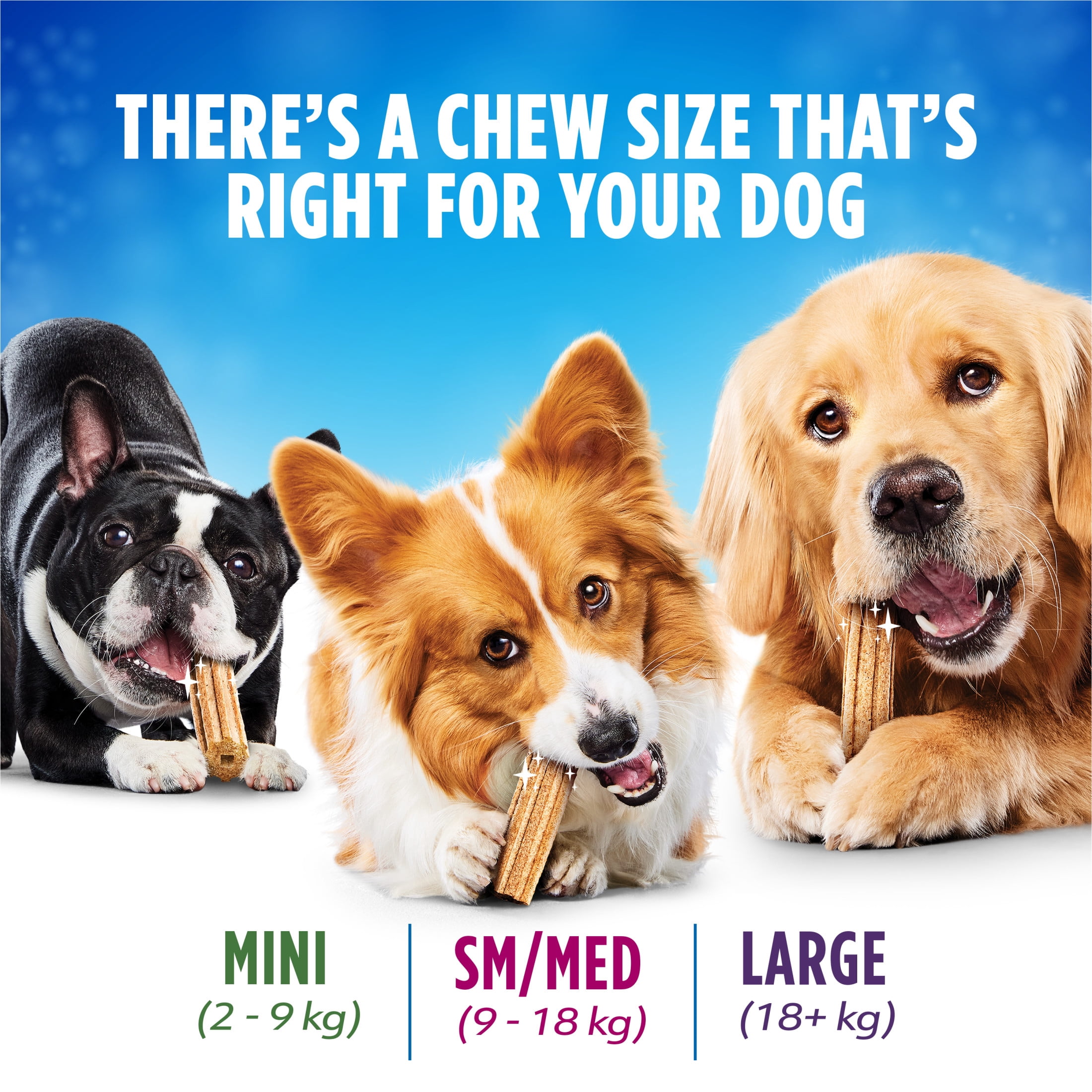 DentaLife Gâteries pour Chiens pour les Soins Buccodentaires Quotidiens pour Races Petites et Moyennes