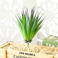 thumbnail image 1 of DIY Artificial Succulent Flocked Plant Fake Cactus Lotus Home Garden Decor, 1 of 1