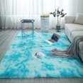 thumbnail image 1 of POINTERTECK Big Clearance! Long Plush Area Rug Ultra Soft Fluffy Washable Non-Slip Decorative Floor Mat For Living Room Bedroom Playing Room, 1 of 6