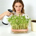 thumbnail image 3 of Dvkptbk Home Transparent Water-Planting Box Soils-Free Seedlinges Tray for Hydroponic Growing and Easys Harvests home decor, 3 of 6
