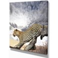 thumbnail image 2 of Leopard on Tree under Cloudy Sky - African Wall Art Print, 2 of 3