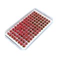 thumbnail image 2 of jifeng Artificial DIY Miniature Flower Cluster Grass Tufts Diorama Layout Scenery Model Pink Red, 2 of 9