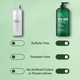 thumbnail image 4 of Botanic Hearth Tea Tree Shampoo, Vitamin C, Peppermint, Lavender and Rosemary Oil, Fights Dandruff and Dry Scalp, 16 fl oz, 4 of 7