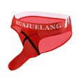 thumbnail image 1 of Birdeem Culottes en Soie Glacée Mode Boxeurs en Nylon Respirant, 1 of 3