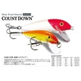 thumbnail image 2 of Poisson nageur Rapala Countdown 3-1/2", Truite arc en ciel, 2 of 4