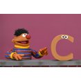 thumbnail image 4 of Sesame Street 7" Ultimate Ernie Action Figure, by NECA, 4 of 5