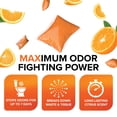 thumbnail image 3 of Camco TST MAX RV Toilet Treatment Drop-INs - Orange Scent, 30-Pack (41182), 3 of 5