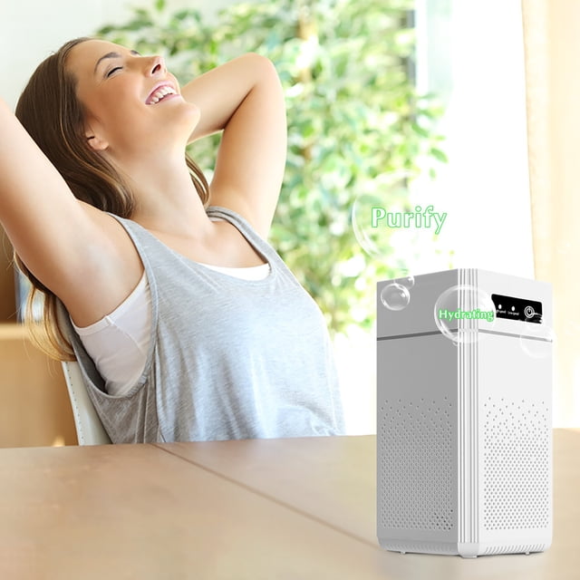 RKSTN Air Purifier Air Purifier Indoor Formaldehyde Removal Household Portable Negative Ion Sterilization Multifunctional Desktop Household Supplies