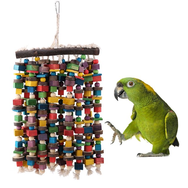 Jouet avec Cintre, Jouet Colorfu, Suspendu pour les Animaux de Compagnie Perroquets
